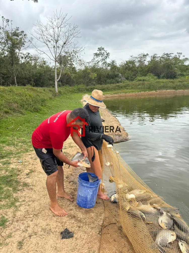 Fazenda, 4 hectares - Foto 12