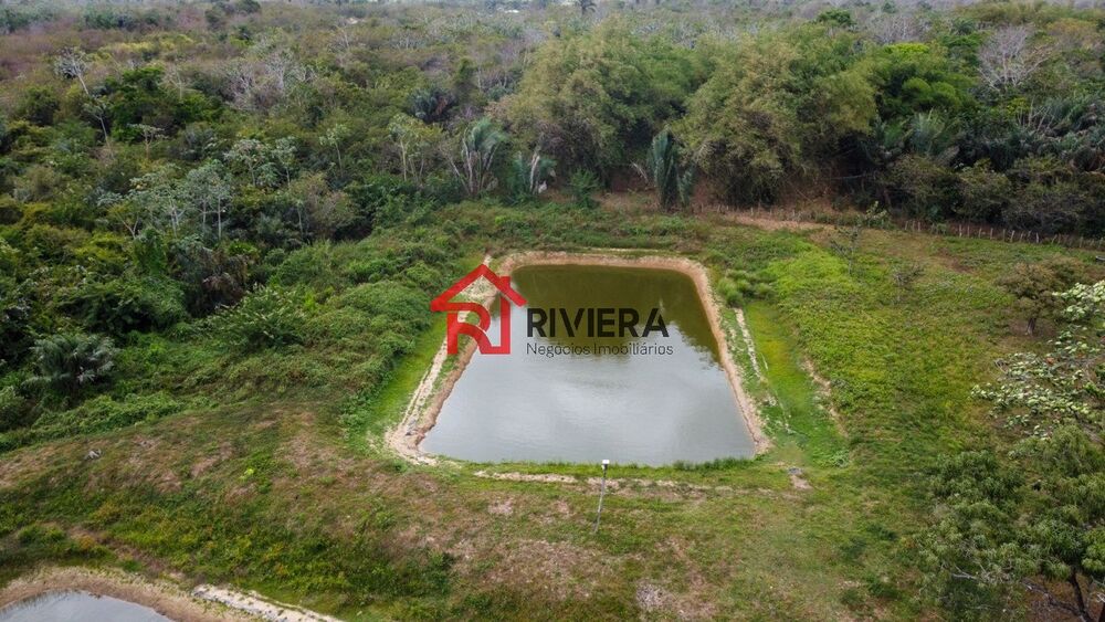 Fazenda à venda com 3 quartos, 43000m² - Foto 3