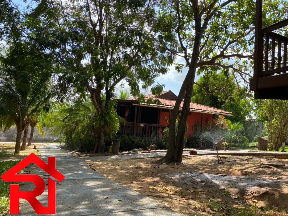 Casa, 6 quartos, 350 m² - Foto 5