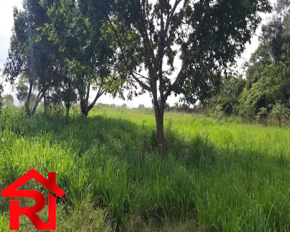 Fazenda à venda - Foto 3