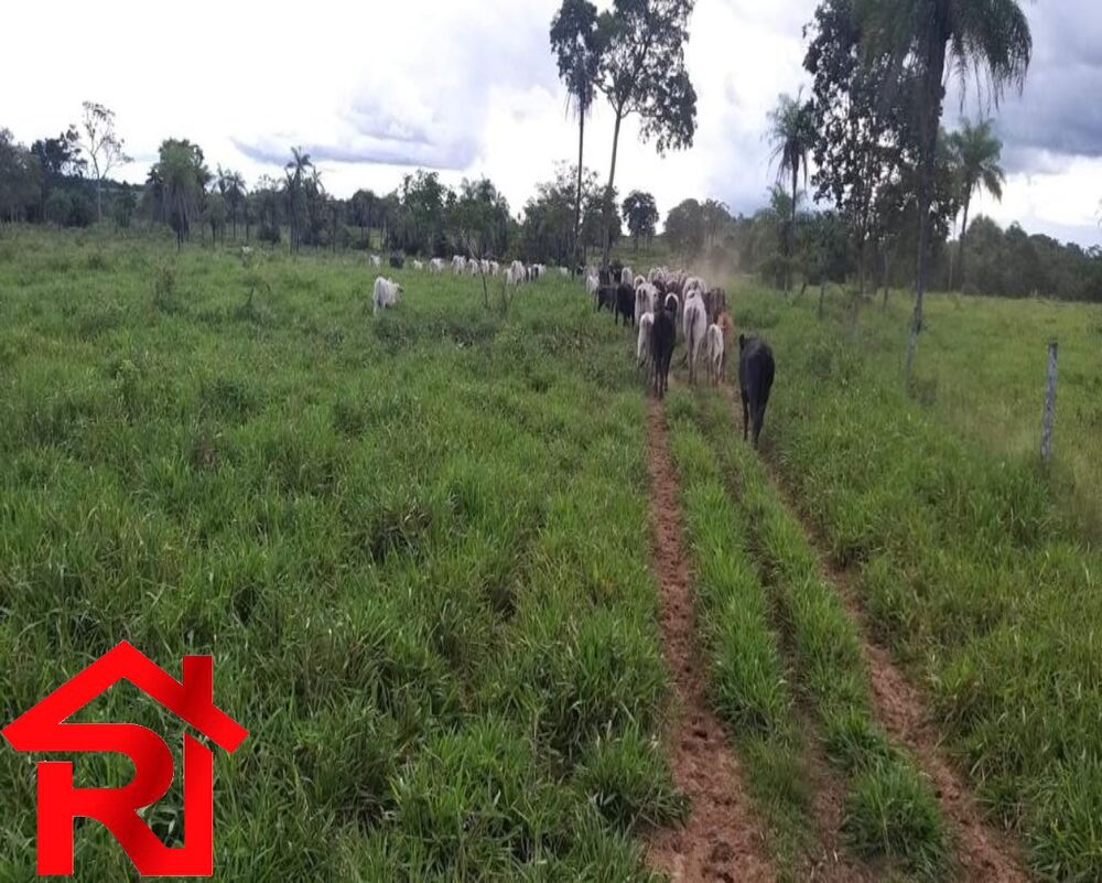 Fazenda à venda - Foto 1