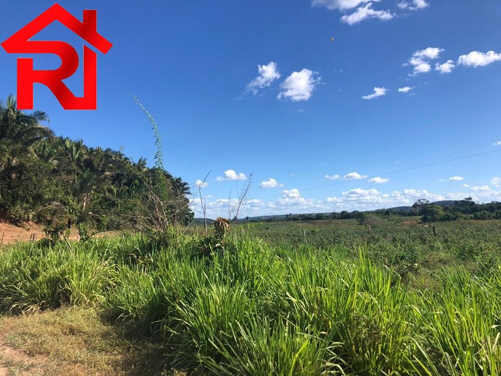 Fazenda - Foto 3