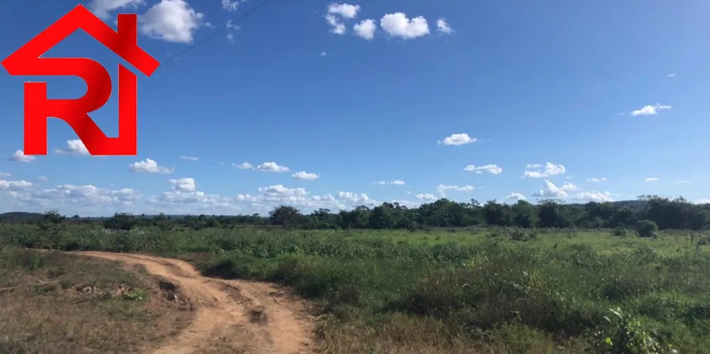 Fazenda - Foto 9