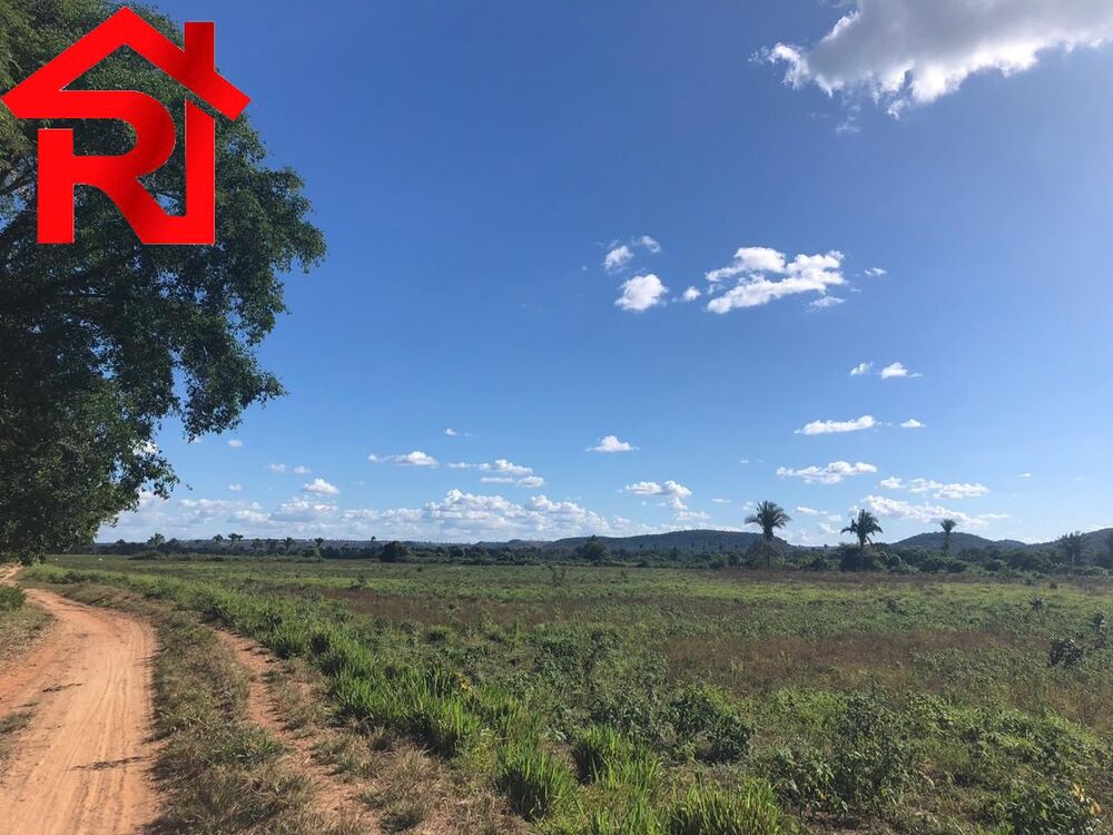 Fazenda - Foto 6