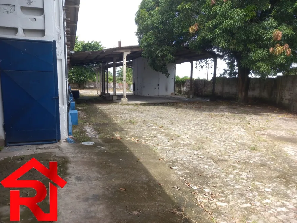 Depósito-Galpão, 10000 m² - Foto 11