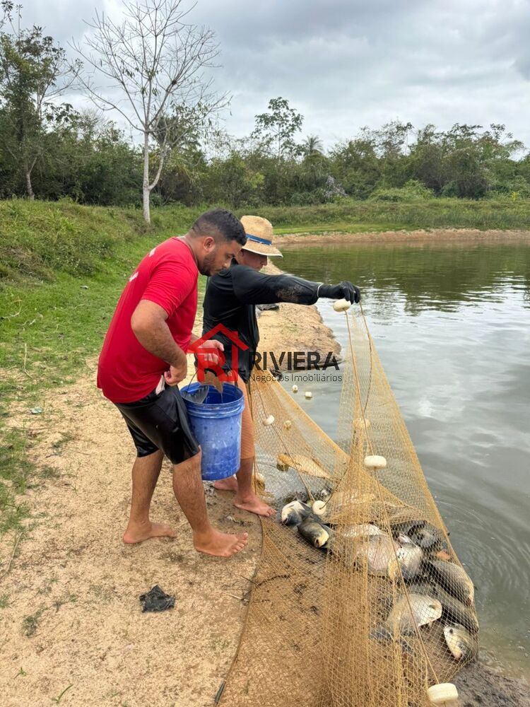 Fazenda, 4 hectares - Foto 4
