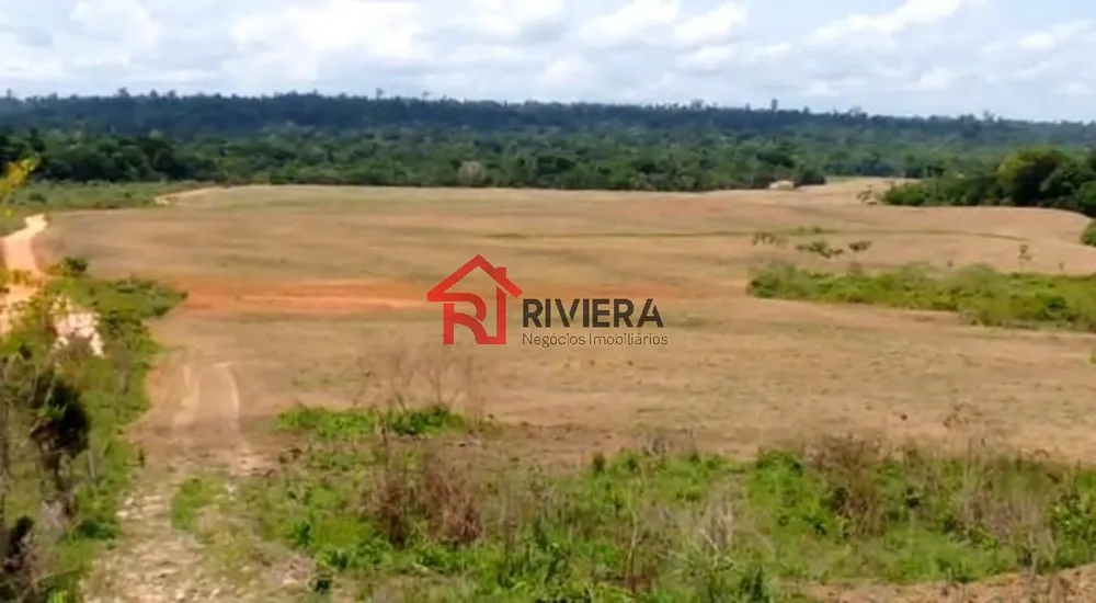 Fazenda - Foto 17