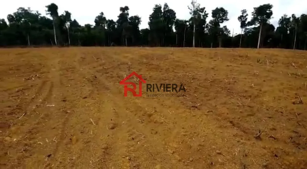 Fazenda - Foto 14