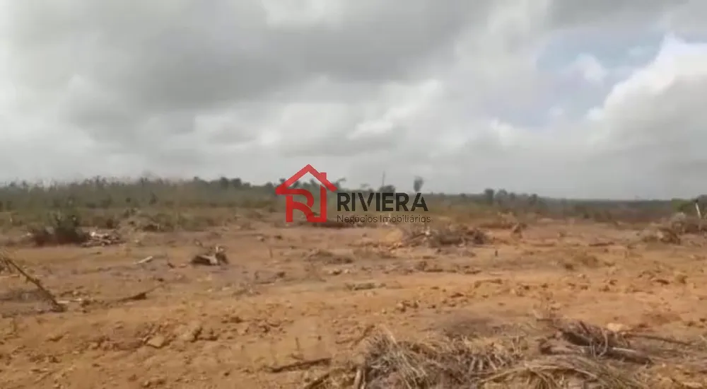 Fazenda - Foto 11
