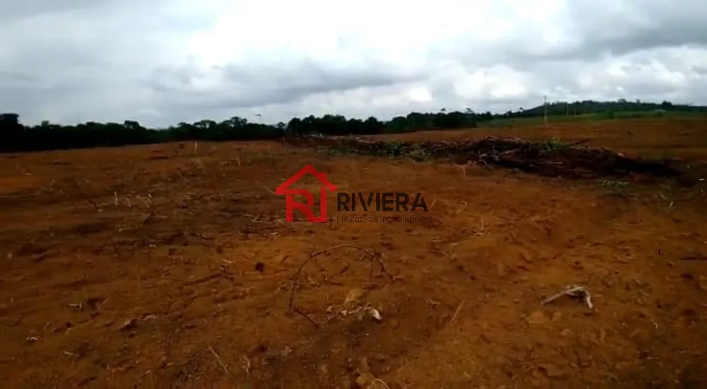 Fazenda - Foto 15