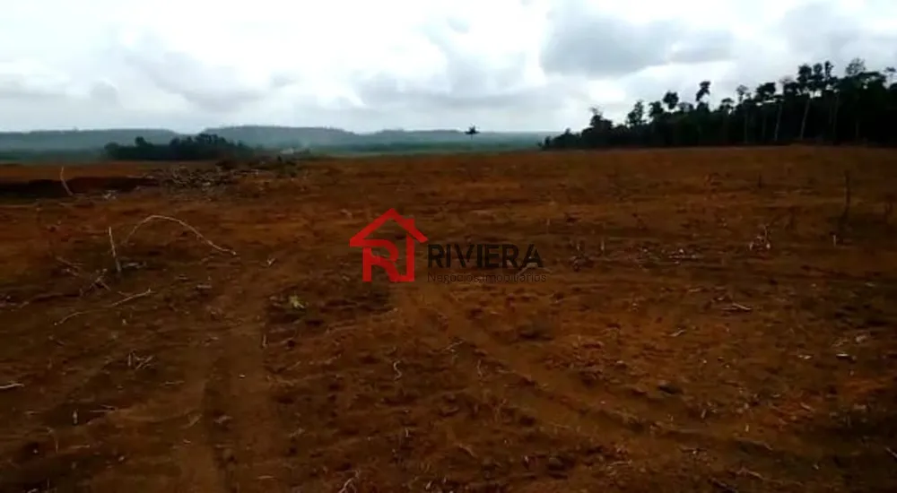Fazenda - Foto 9