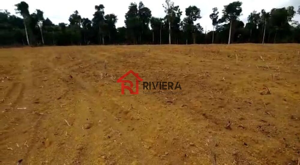 Fazenda à venda - Foto 7