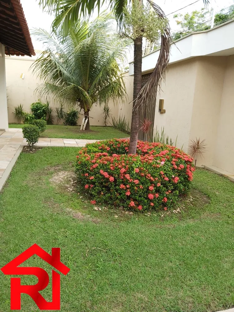 Casa, 3 quartos, 800 m² - Foto 14