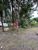 Terreno, 1 hectares - Foto 7