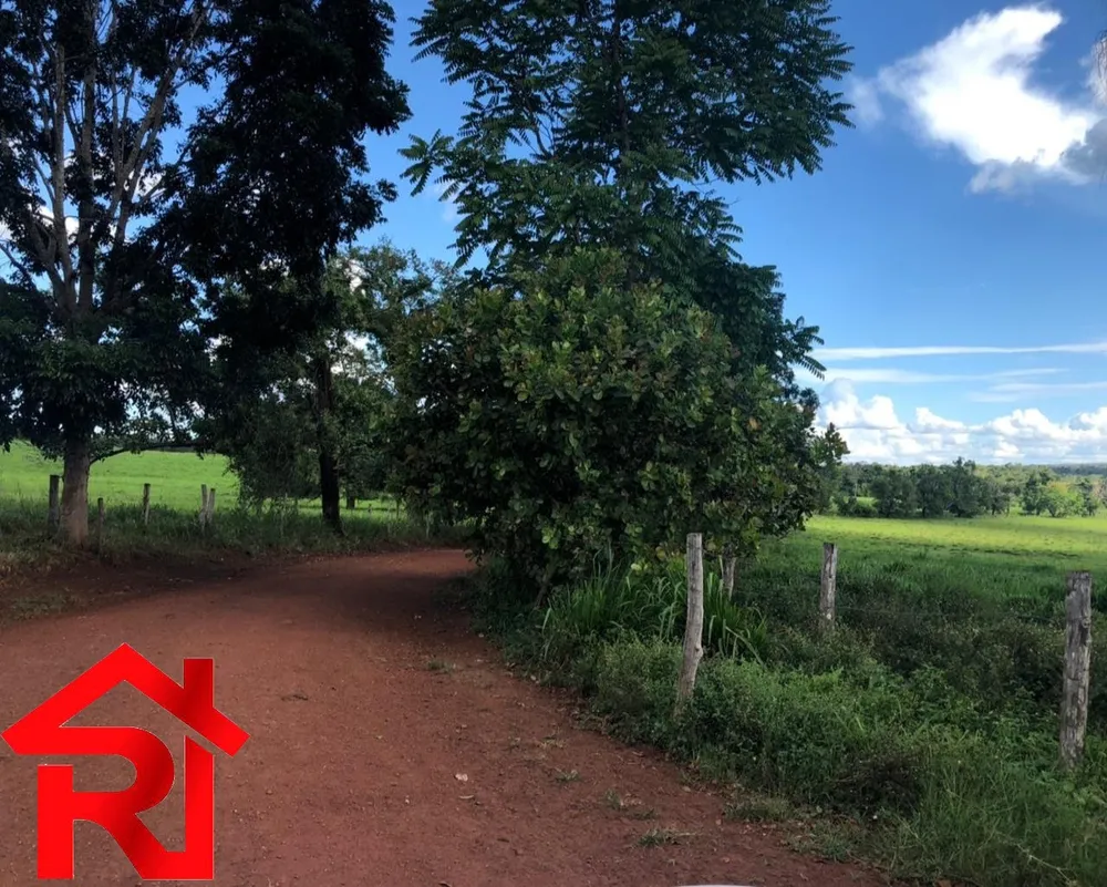Fazenda - Foto 8