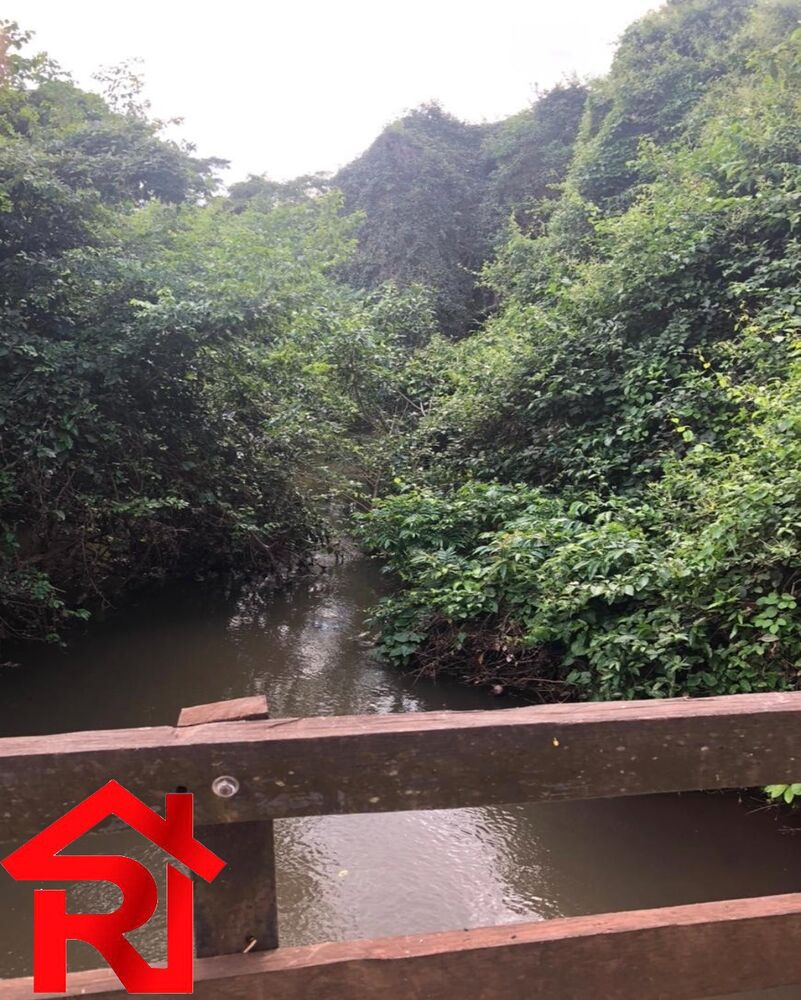 Fazenda-Sítio-Chácara - Foto 3