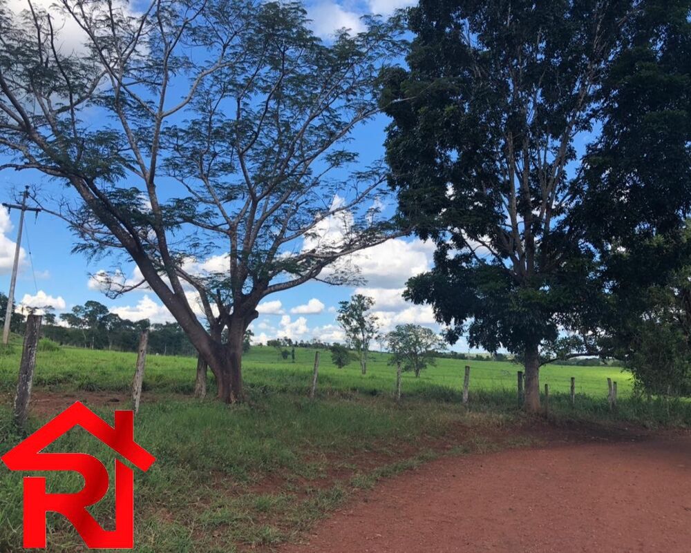 Fazenda-Sítio-Chácara - Foto 7