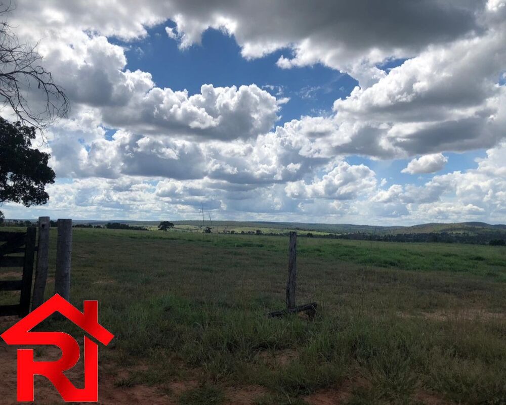 Fazenda-Sítio-Chácara - Foto 4