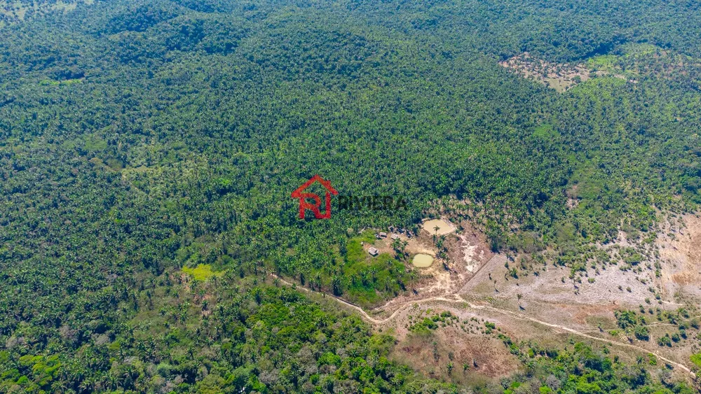 Fazenda - Foto 4