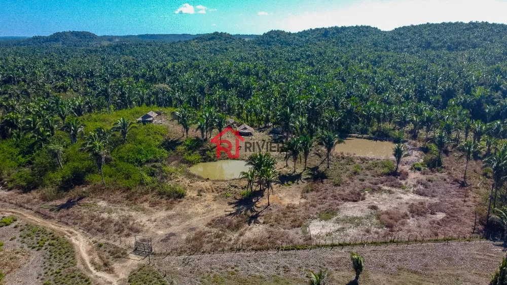 Fazenda - Foto 1