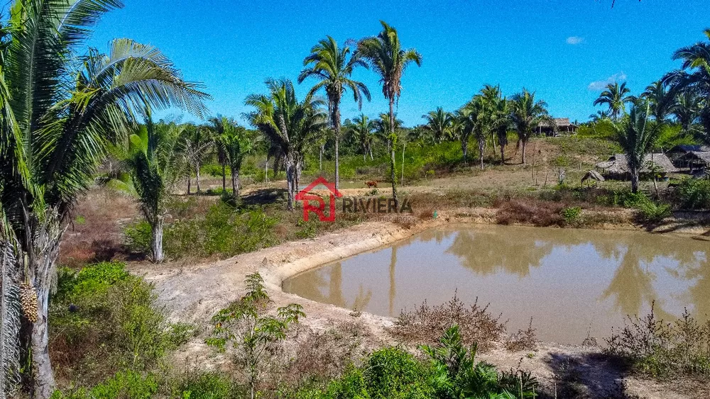 Fazenda - Foto 7