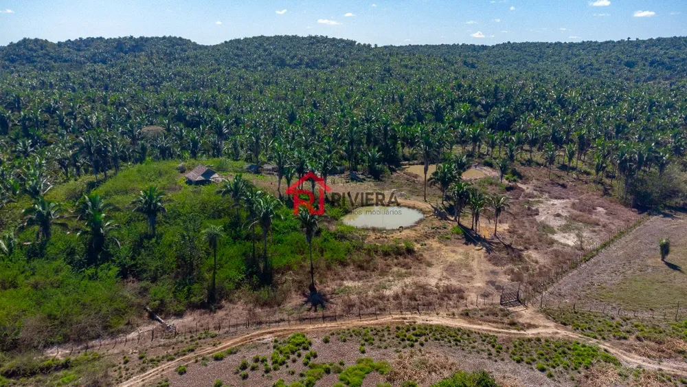 Fazenda - Foto 2