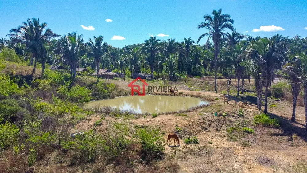 Fazenda - Foto 6