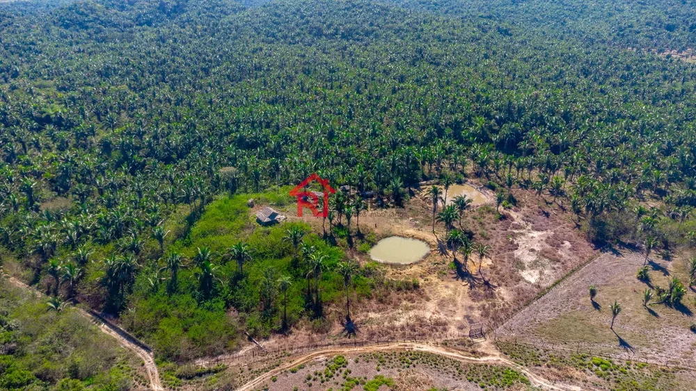 Fazenda - Foto 2