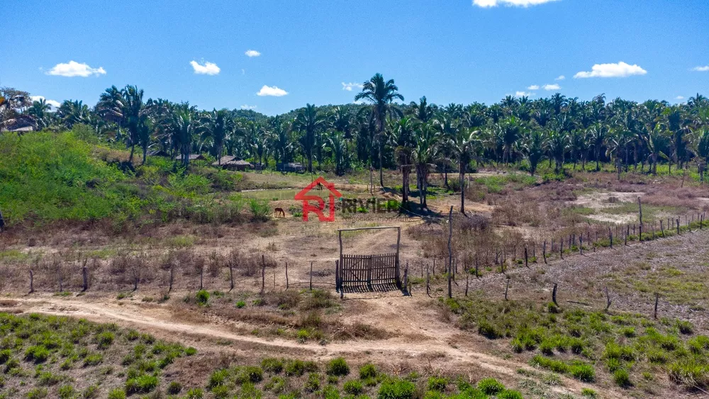 Fazenda - Foto 5