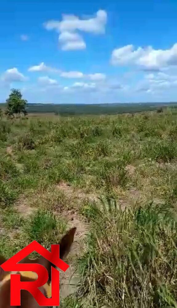 Fazenda, 302 m² - Foto 4