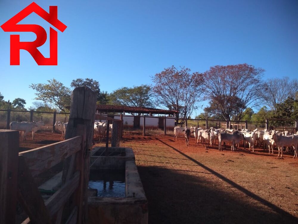 Fazenda - Foto 8
