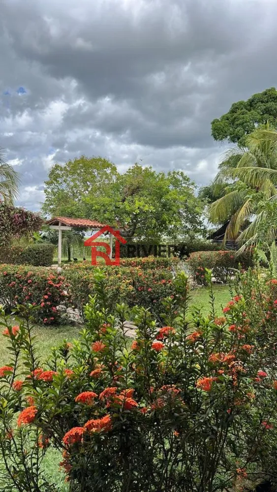 Fazenda, 1566 m² - Foto 19