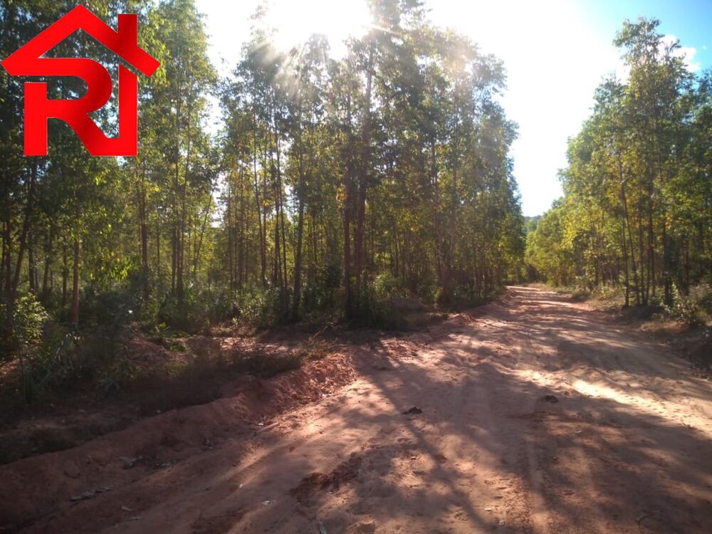 Fazenda à venda, 1060m² - Foto 8