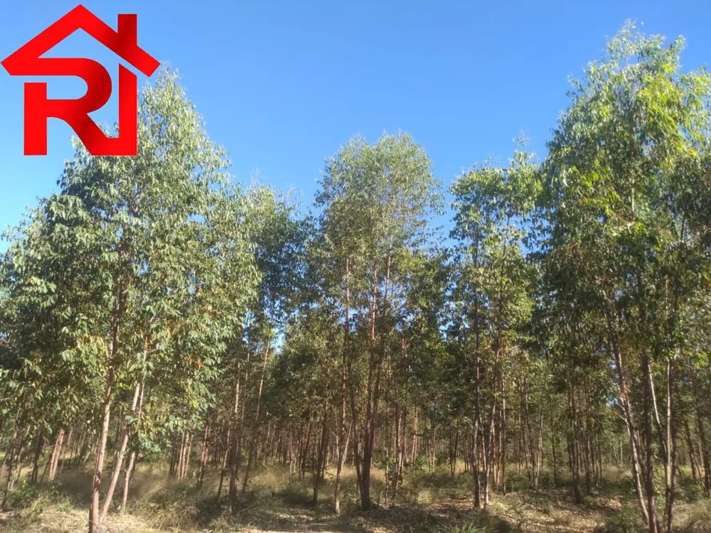 Fazenda - Foto 17