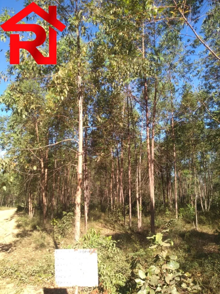 Fazenda - Foto 13