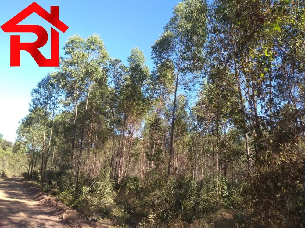Fazenda - Foto 14