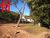 Fazenda-Sítio-Chácara - Foto 3