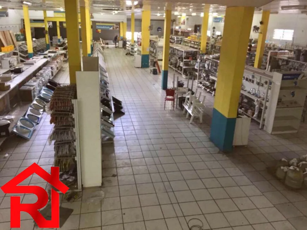 Depósito-Galpão, 5000 m² - Foto 3
