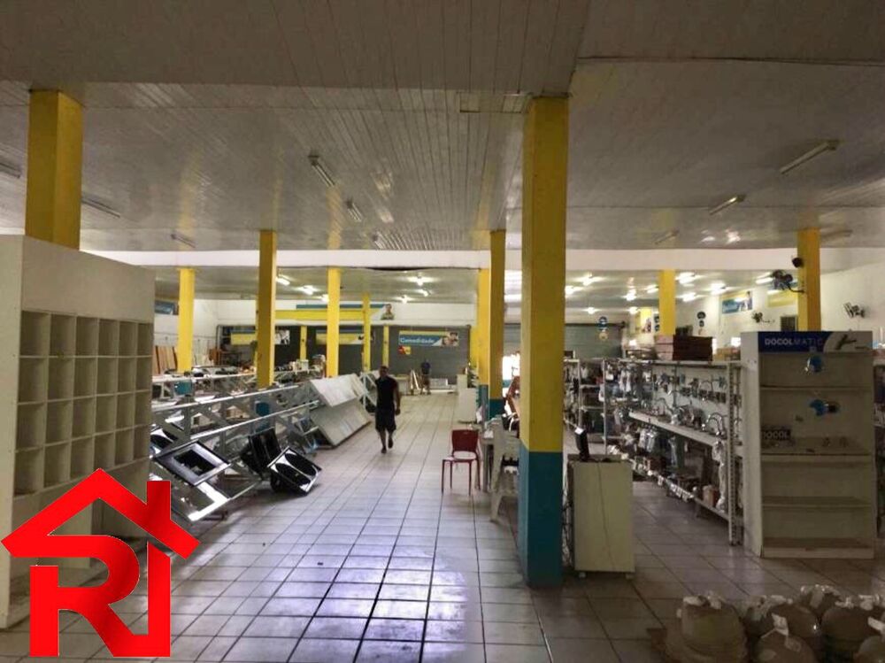 Depósito-Galpão, 5000 m² - Foto 3
