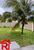 Prédio Inteiro, 800 m² - Foto 8