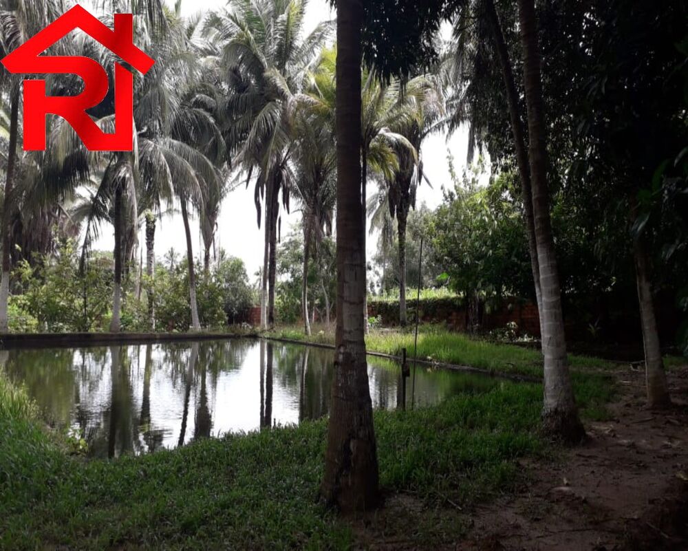 Sítio à venda - Foto 5