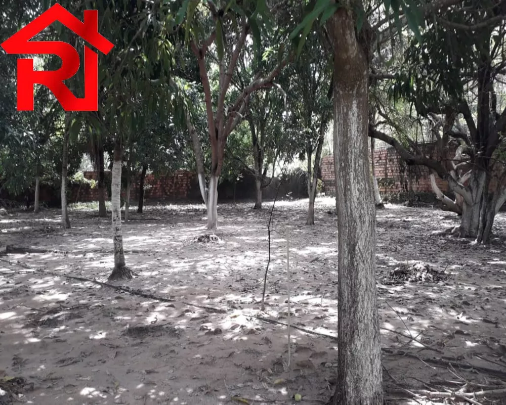 Sítio - Foto 15