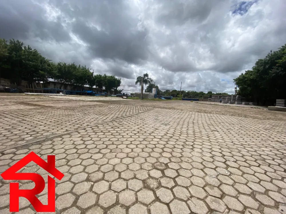 Depósito-Galpão, 10000 m² - Foto 3