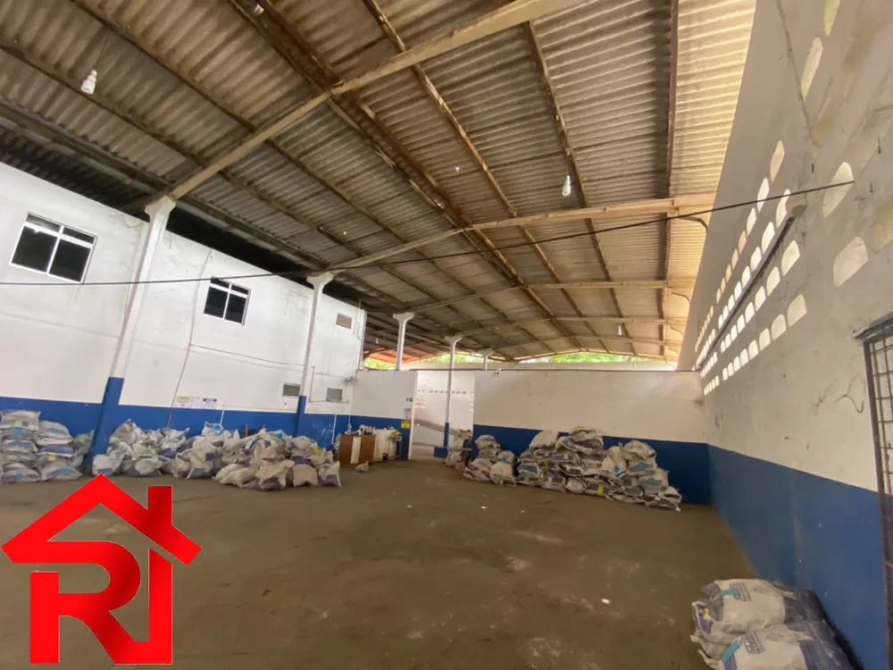 Depósito-Galpão, 10000 m² - Foto 1