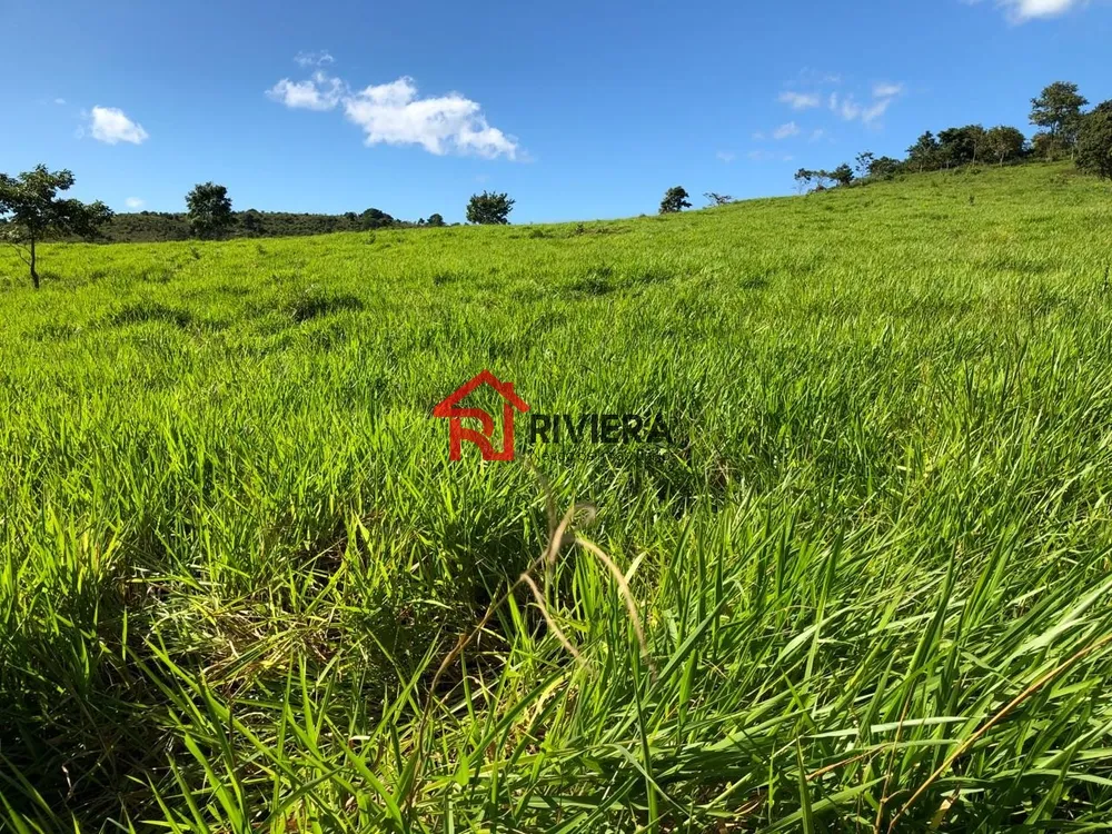 Fazenda - Foto 1