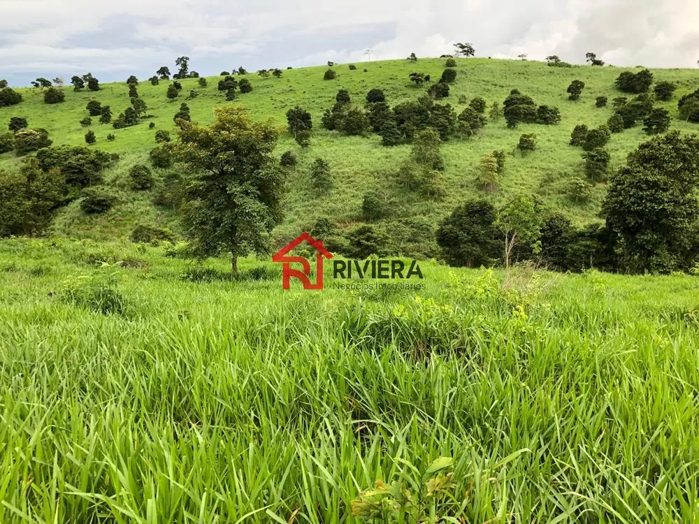 Fazenda - Foto 7