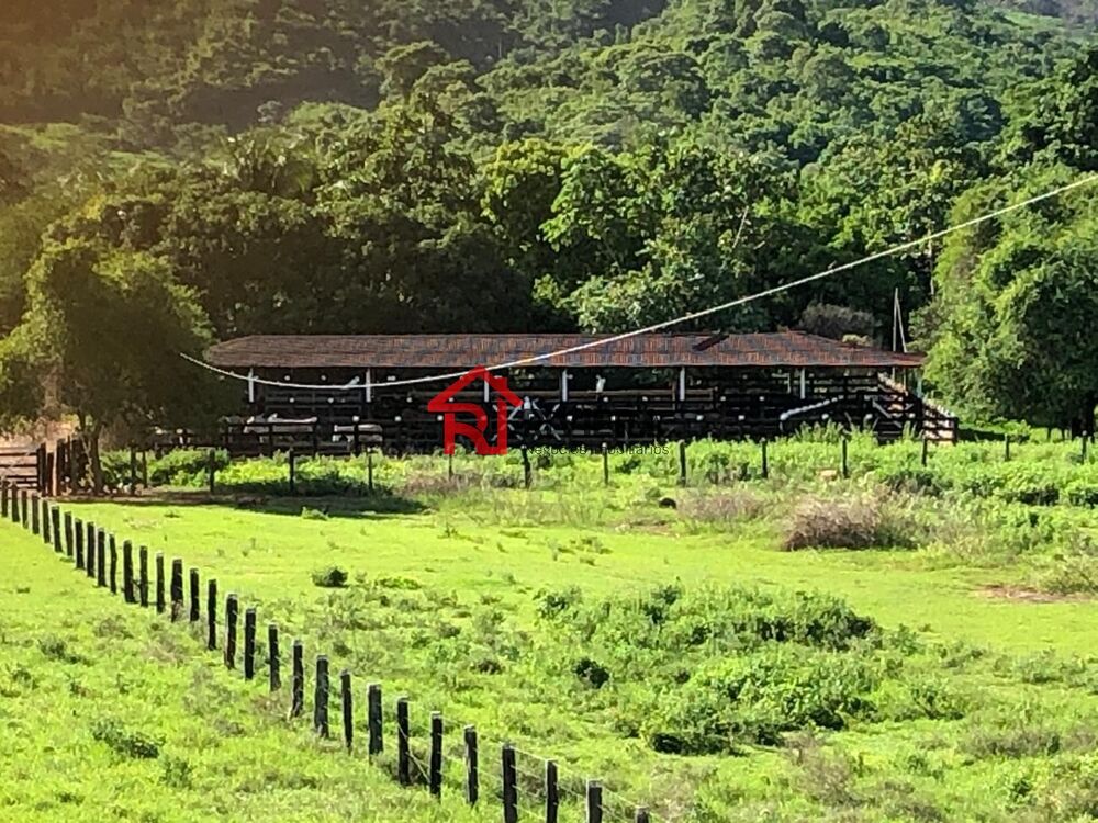 Fazenda - Foto 3
