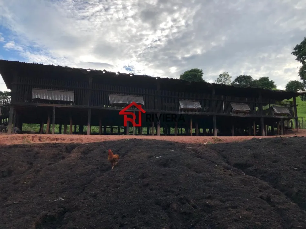 Fazenda - Foto 5