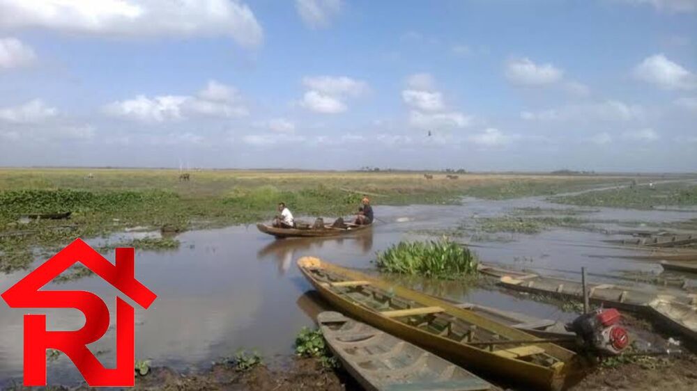 Terreno, 4670 m² - Foto 2