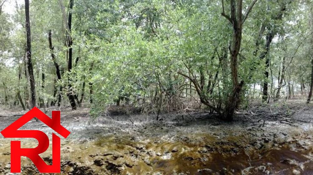 Terreno, 4670 m² - Foto 1